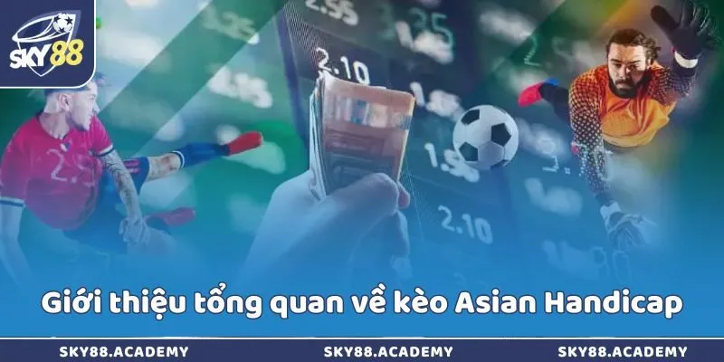 Chiến lược cược kèo châu Á siêu hay từ chuyên gia Sky88 Giới thiệu tổng quan về kèo Asian Handicap