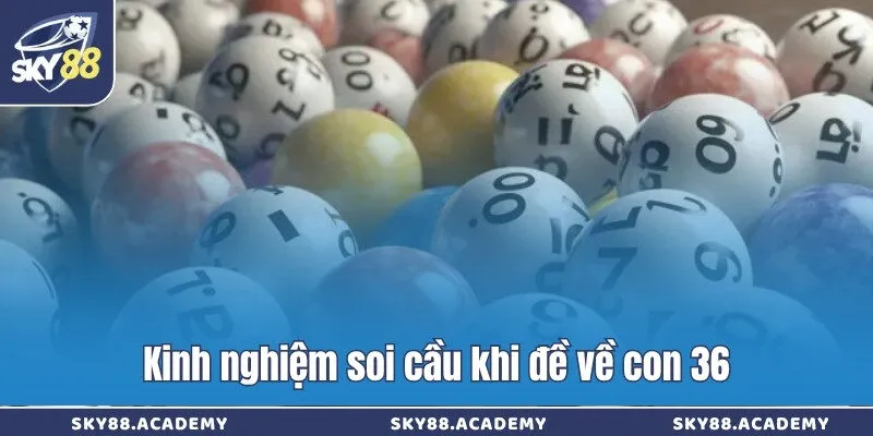 Giải mã đề về 36 nên đánh con gì cho ngày hôm sau Kinh nghiệm soi cầu khi đề về con 36