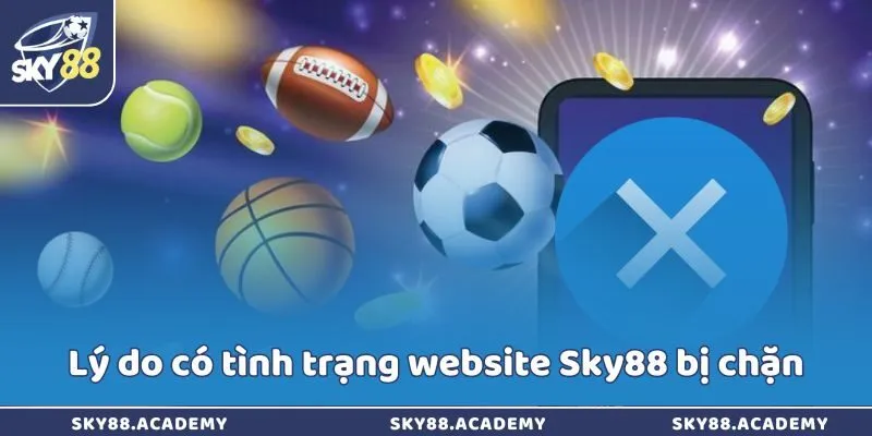 Lý do có tình trạng website Sky88 bị chặn